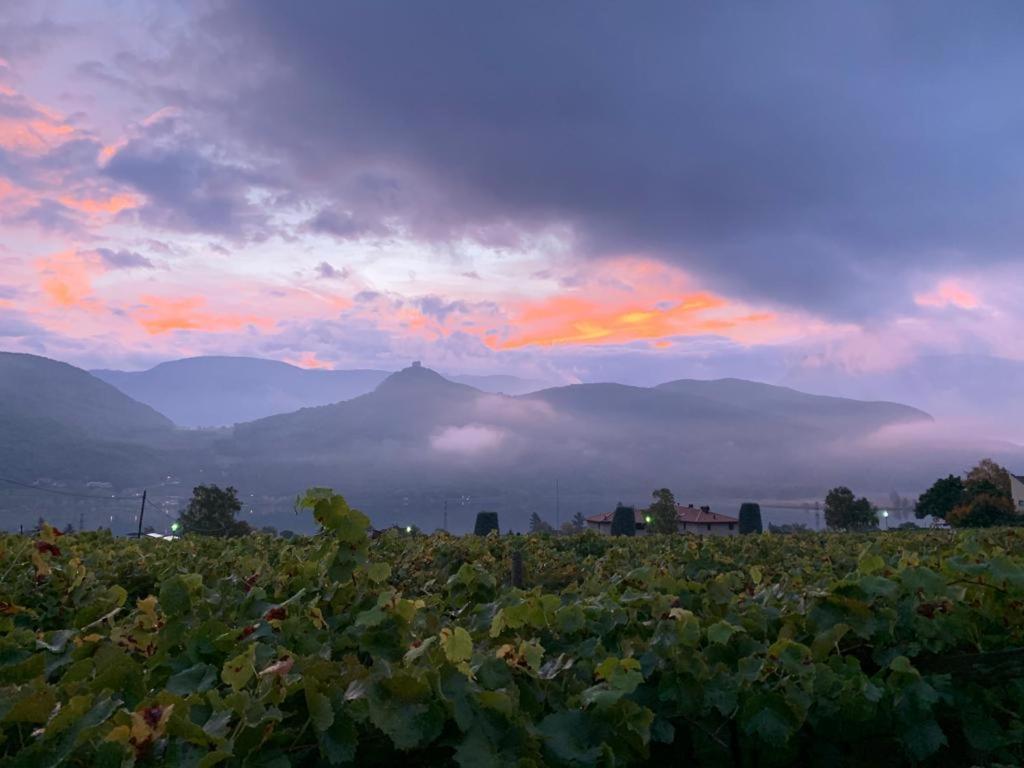 Leuchtenhof Caldaro Exteriör bild